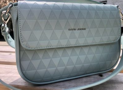 ladies handbag