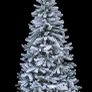 Christmas tree Image 2