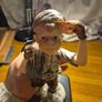 1999 Mountain Boy Future Dreams Collectible Figurine from Beachcombers Image 9