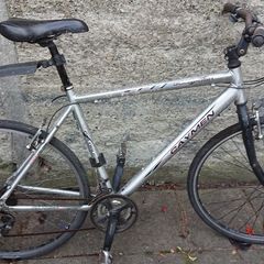 Goldrush caymen bike