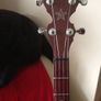 DEERING Goodtime Special 4 string tenor banjo Image 2