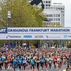 Frankfurt Marathon 2026 Ticket discounted