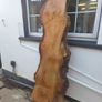 Live Edge Oak Wood Slab Burl Image 2