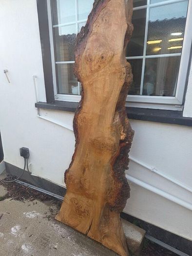 Live Edge Oak Wood Slab Burl