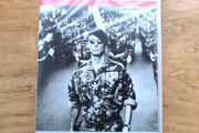 Sealed The Battle of Algiers Dvd