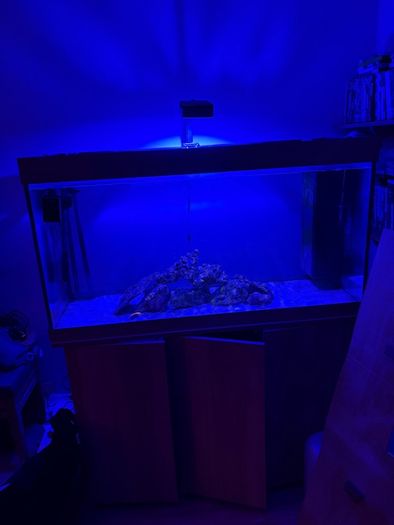 Juwel 350 with stand