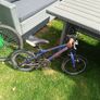 bikes and flicker Image 4