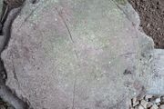 garden patio stones