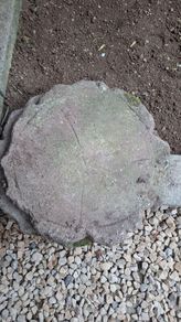 patio stone