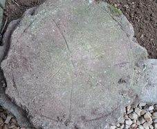 patio stone
