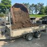 manure mature Image 3