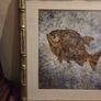 Framed Fish print Image 4