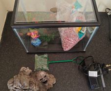 fish tank