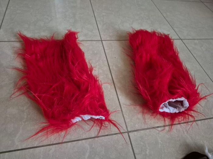 Fox costume and more