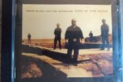 Frank Black And The Catholics - Dog In The Sand CD (2000) Reissue EX+