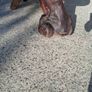 Teak Tree Root Table And Matching Chair Image 6
