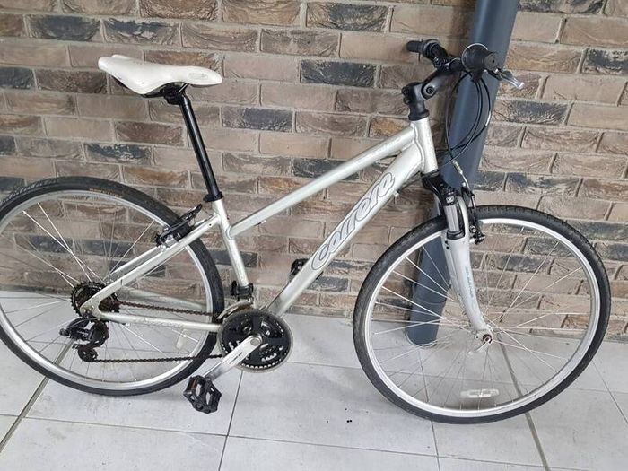 ladies bike( can deliver)