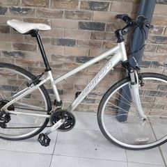 ladies bike( can deliver)