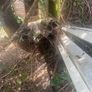 free aluminium conservatory frame (Dismantled ). Image 4