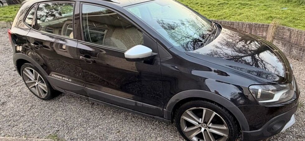 2013 Cross Polo