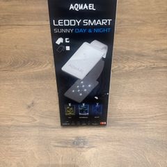 Leddy Smart white