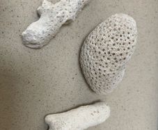 Coral Natural lot of three