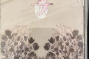 Devendra Banhart - Smokey Rolls Down Thunder Canyon CD