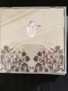 Devendra Banhart - Smokey Rolls Down Thunder Canyon CD