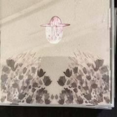 Devendra Banhart - Smokey Rolls Down Thunder Canyon CD