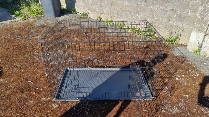Dog cage