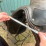 saddle Image 4