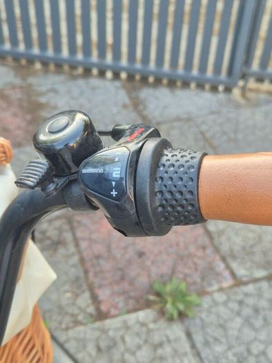 ladies bike
