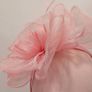 fascinator Image 3