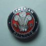 RAILWAY COMPANY (logos & crests) - 9 x quality enamel badges (1930s to early 1980s). Lot A Image 7