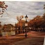 The Lough, Cork Image 2