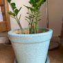 Plant pot Image 2