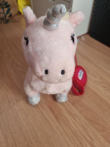 Unicorn with lead walks