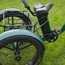 electric trike Image 6