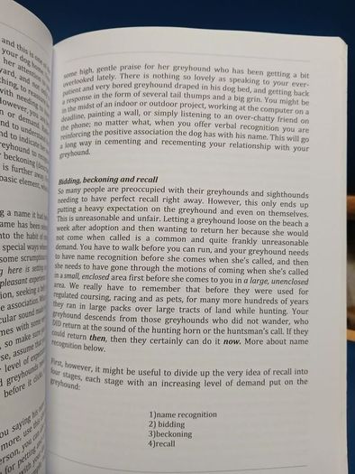Understanding Greyhounds - Mary Fox