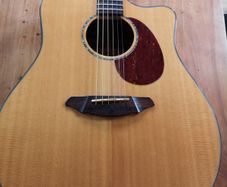 Breedlove AD25. All Solid Wood.