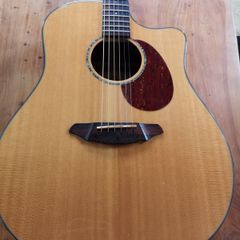 Breedlove AD25. All Solid Wood.