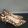 Kitten Heel Dune Leopard-Size 4.5 (37) Image 7