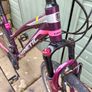 adult bike Image 6