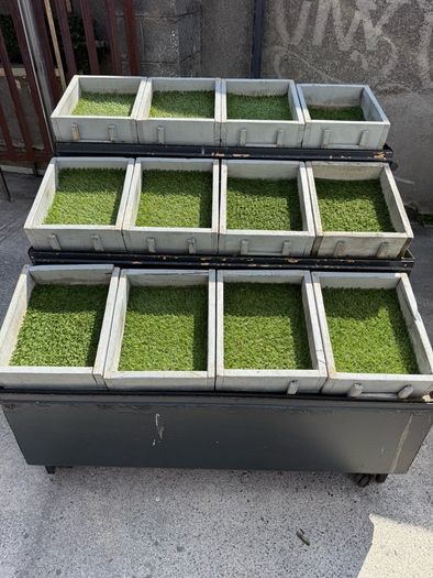 Fruit & vegetable display stand