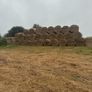 Hay bales Image 3