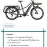 Electric Bike Image 6