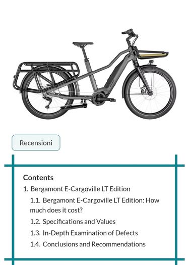 Electric Bike
