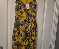new dress oasis brand