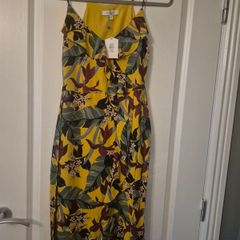 new dress oasis brand