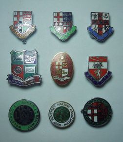 RAILWAY COMPANY (logos & crests) - 9 x quality enamel badges (1970s to early 1990s). Lot C